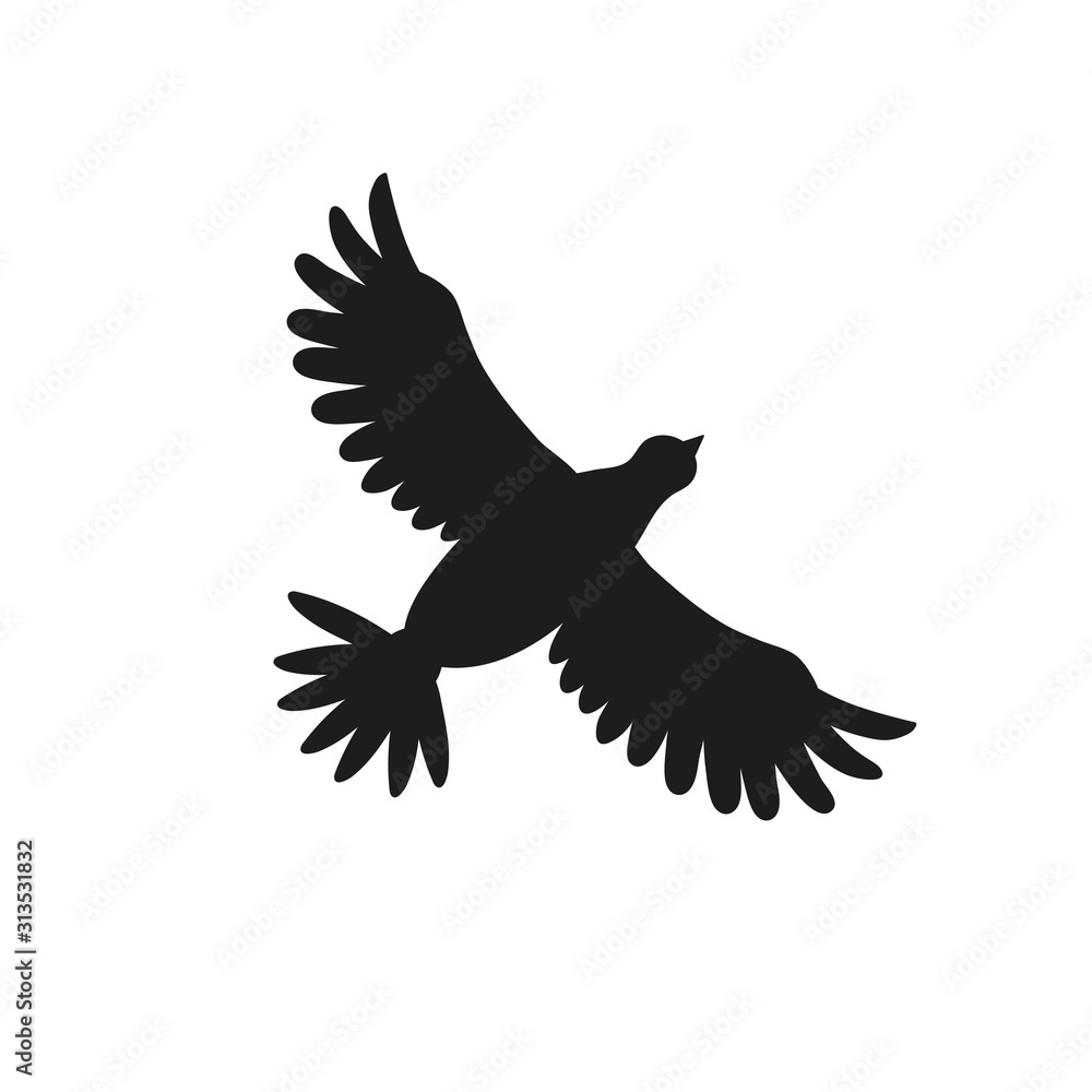 Obraz premium Bird silhouette flying isolated on white. Pigeon or dove drawing.