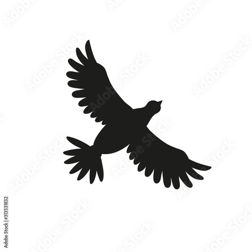 Bird silhouette flying isolated on white. Pigeon or dove drawing.