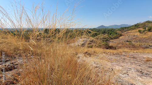 Panoramic view of golden field over the hill at Khao Lon Nakon Nayok Thailand