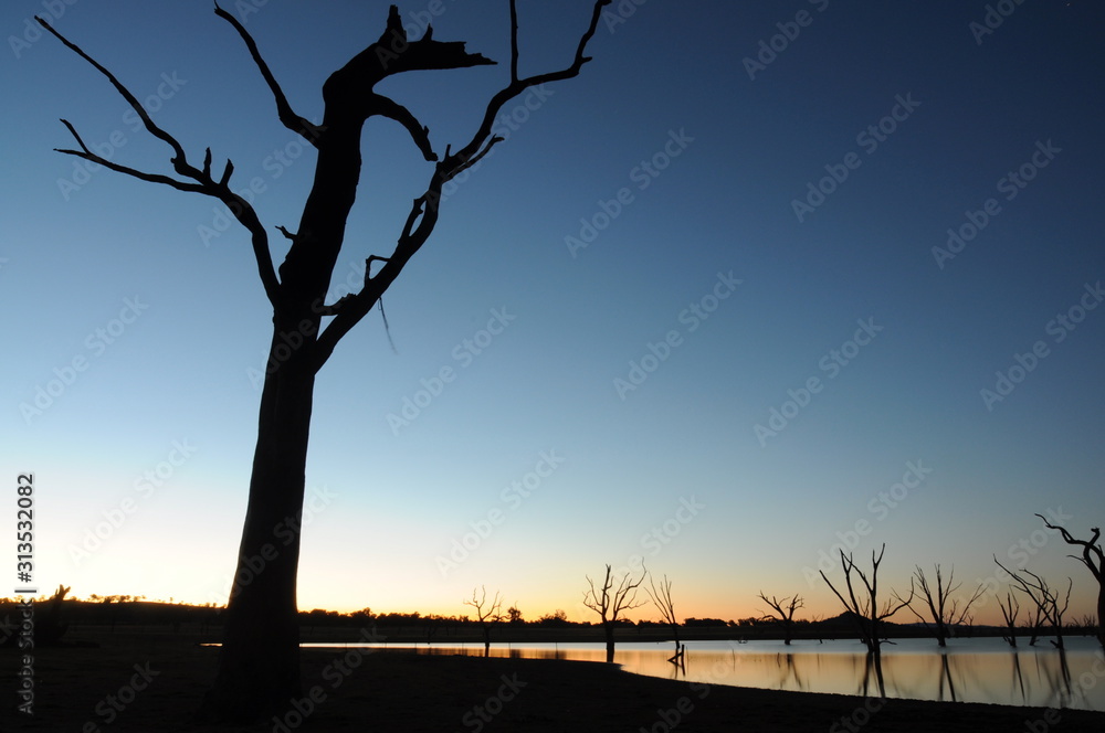 Sunset with trees on lake