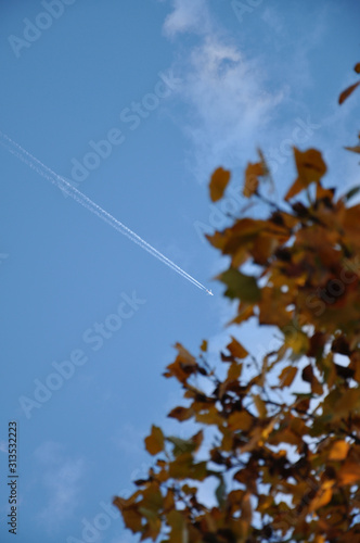 Airplane flying across the sky with tree in foreground