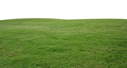 fresh green grass lawn isolated on white background