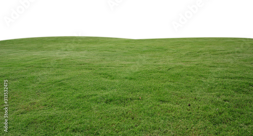 fresh green grass lawn isolated on white background photo