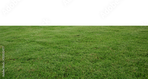 fresh green grass lawn isolated on white background photo