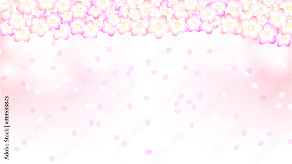 満開の桜と花びらの背景（日本のイメージ）
