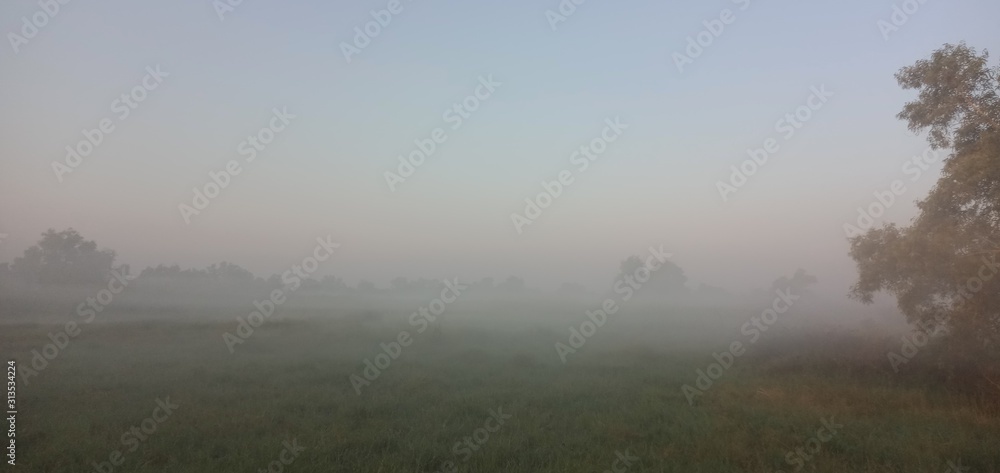 Fototapeta premium Morning mist in the meadow
