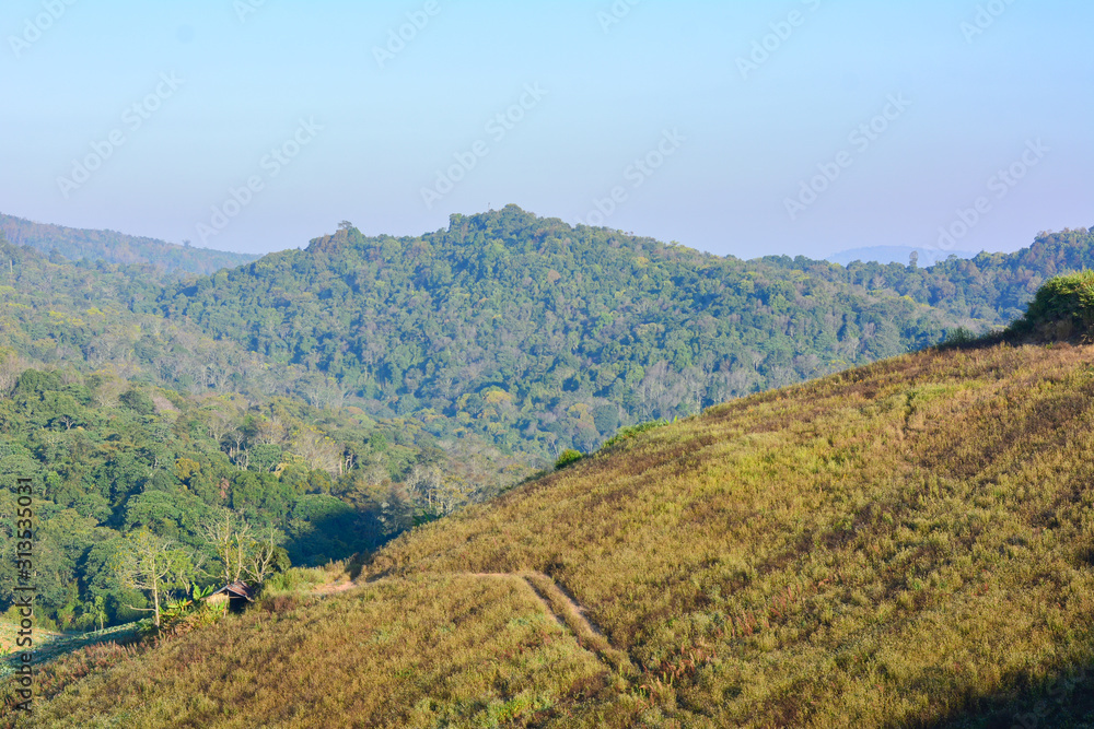 Summer mountain view in Thailand,High view beautiful nature landscape of the mountain sky and forest in the morning on the hilltop viewpoint at Phu Thap Berk attractions of Phetchabun Province Thailan