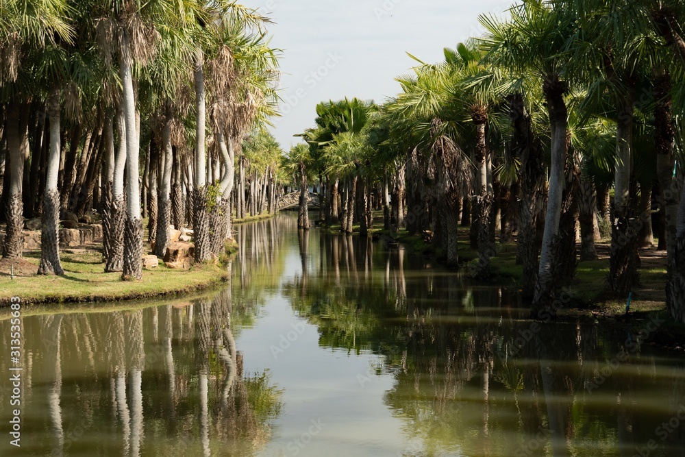 Obraz premium landscape photo of palm lake with sky and cloud.