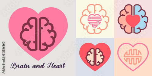 Heart and brain, Emotions and logic concept.