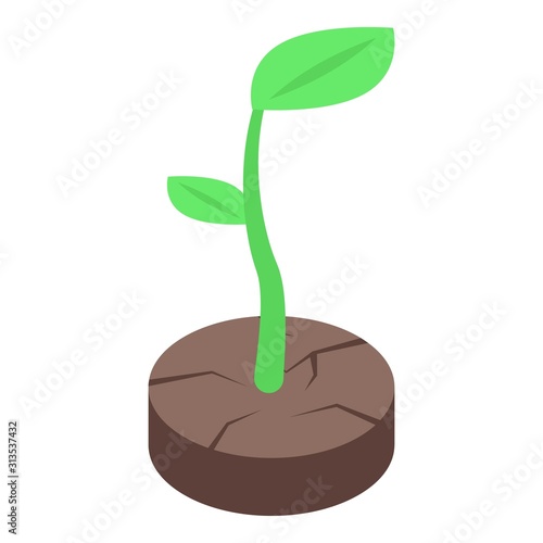 Plant crack ground icon. Isometric of plant crack ground vector icon for web design isolated on white background