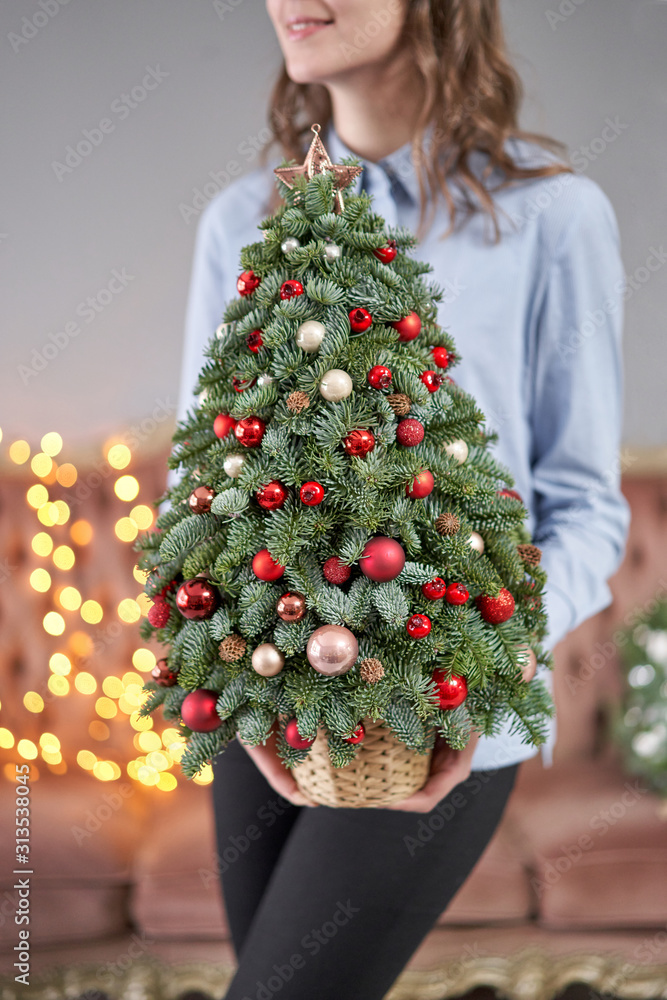 Beautiful small Christmas tree in womans hands. Happy mood. Garland lamp bokeh on background. Wallpaper. Danish pine and fir, Nobilis Beautiful small Christmas tree in womans hands. Happy mood. Garland lamp bokeh on background. Wallpaper. Danish pine and fir, Nobilis
