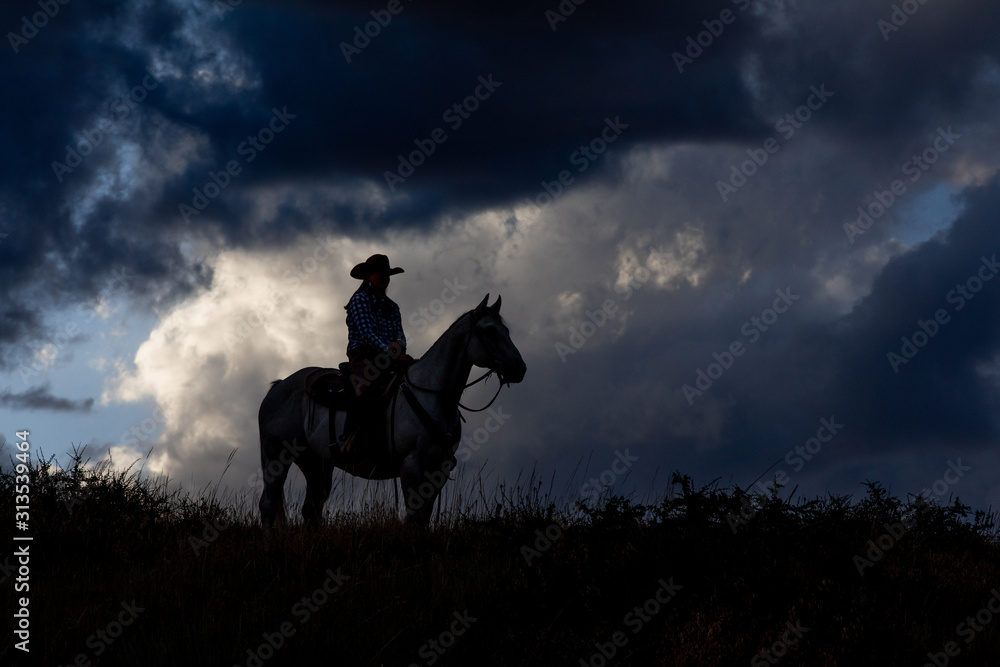 ranch silhouette 