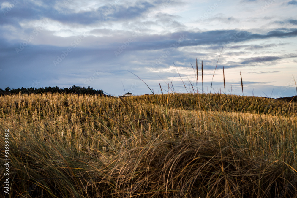 Fototapeta premium Sonnenaufgangsstimmung auf Langeoog im Dezember