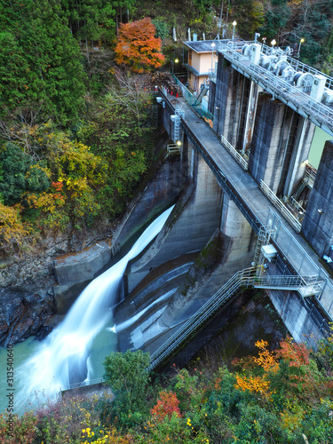 Dam into the forest photo