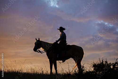 Cowgirl Silhouette 