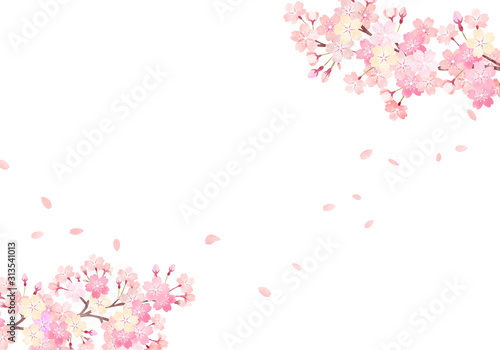 水彩　手描き風　桜　背景イラスト　03