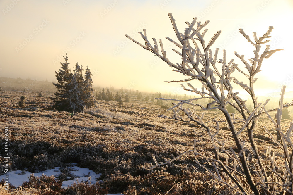 Le Gazon du Faing dans les Vosges en hiver Le Gazon du Faing dans les Vosges en hiver