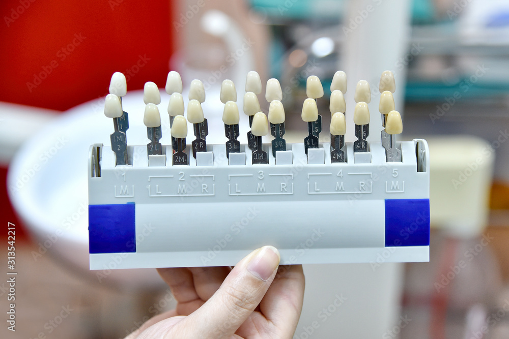 Dental tooth shade guide, Dentist matching color tone of dental chart
