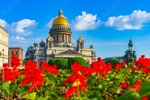 Saint Petersburg. Russia. St. Isaac's Cathedral on the background of a flower bed. Red flowers on St. Isaac's square. Cathedrals Of St. Petersburg. Summer Petersburg. Bright city landscape.