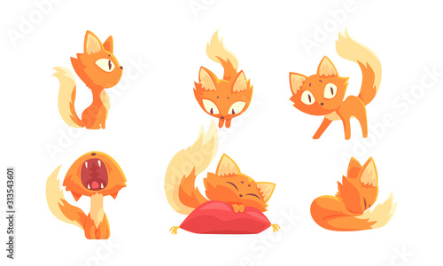 Cute Red and Ginger Cartoon Cat Character Expressing Different Emotions Vector Set