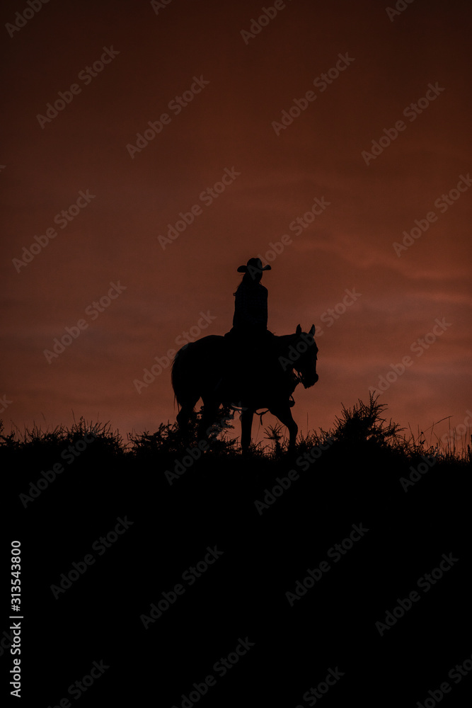 Cowgirl Silhouette 
