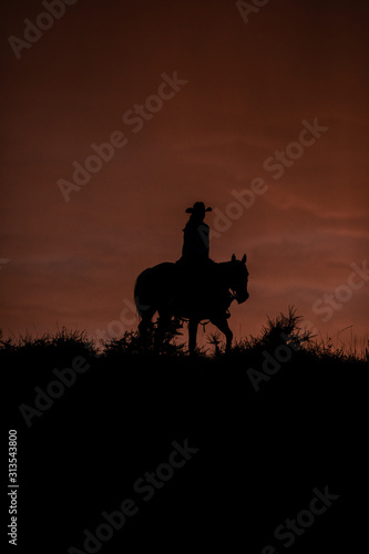 Cowgirl Silhouette 