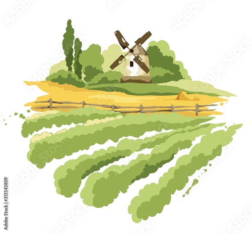 Abstract landscape with vineyard and mill / Vector illustration, wheat fields and meadows