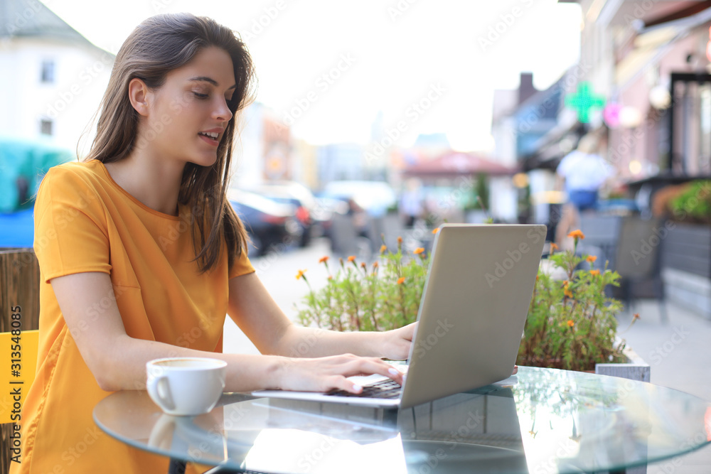 Smiling woman using laptop in cafe. Concept of entrepreneur, businesswoman, freelance worker. Smiling woman using laptop in cafe. Concept of entrepreneur, businesswoman, freelance worker.