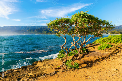 Schilderij op canvas view at Laie Point on Oahu, Hawaii