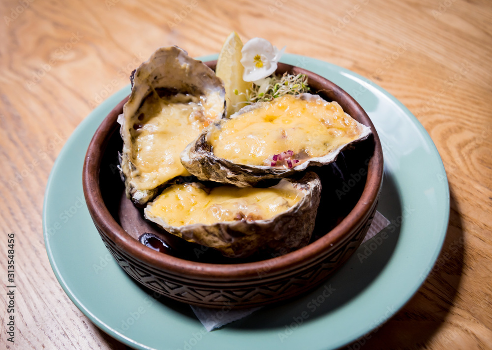 Fresh oysters under cheese on a plate with ice and flowers. Restaurant Fresh oysters under cheese on a plate with ice and flowers. Restaurant