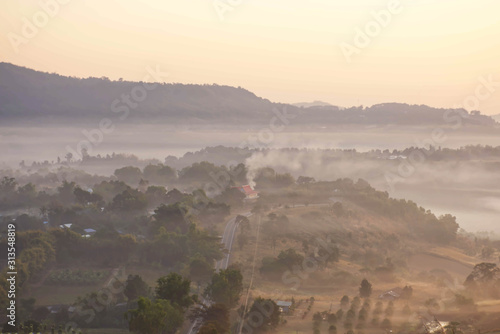 Morning mist covered by trees at Khao Takhian Ngo Phetchabun in Thailand