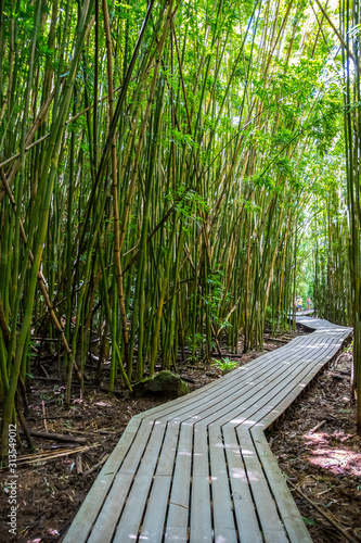A very long boardwalk surrounded by bamboo trees in Maui, Hawaii