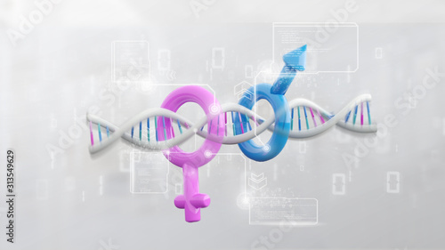 Εκτύπωση καμβά DNA with data and male and female symbol - 3d rendering