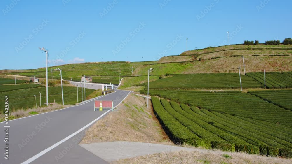 Yame tea plantations in Japan, Kyushu prefecture Yame tea plantations in Japan, Kyushu prefecture