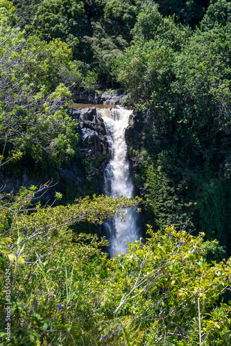 The famous Makahiku Falls in Maui  Hawaii