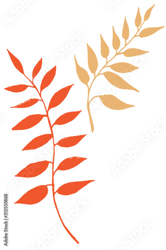 Hand drawn color brunches with leaves