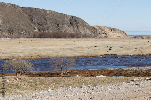 Buguldeika river flowing into the lake Baikal photo