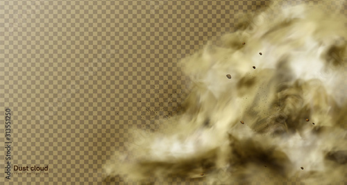 Desert sandstorm, brown dusty cloud or dry sand flying with gust of wind, big explosion realistic texture with small particles or grains vector frame, border isolated on transparent background