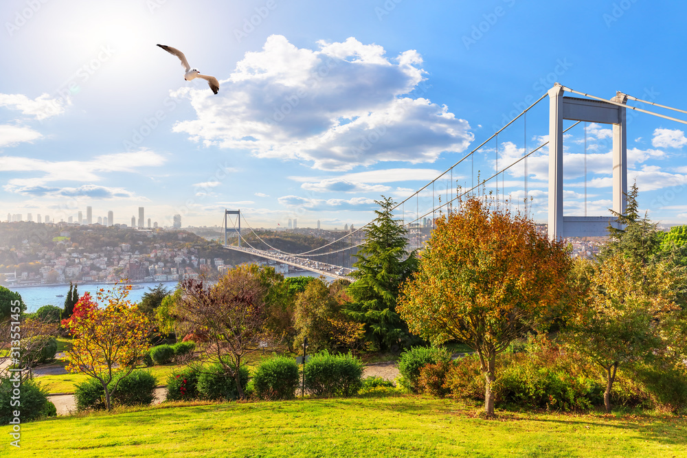 Sunny day in Otagtepe park, view on the Second Bosphorus Bridge, Istanbul, Turkey