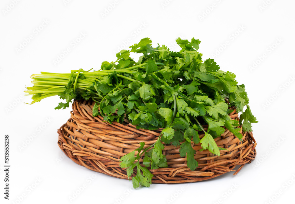Fresh Coriander or Indian Dhaniya on White Background Fresh Coriander or Indian Dhaniya on White Background