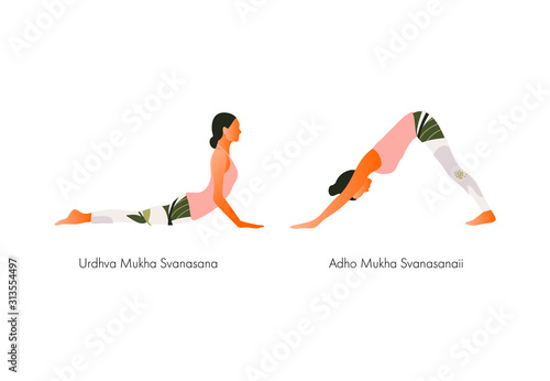 Yoga Downward and upward facing dog Woman health. Adho Mukha Svanasana. Yoga asanas. Vector cartoon illustration. 