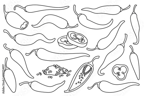 Pepper of chili line vector set icon. Vector illustration chili and pepper on white background . Isolated line set icon paprika.