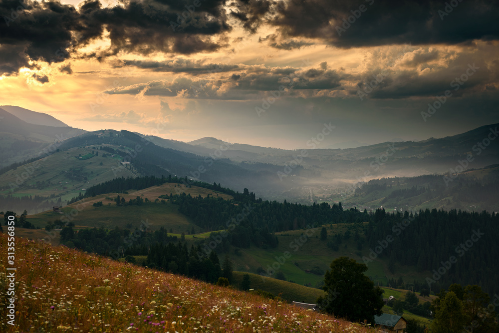 Golden sunset in carpathian mountains - beautiful summer landscape, spruces on hills, dark cloudy sky and bright sun light, meadow and wildflowers