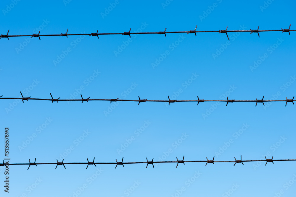 barbed wire against the blue sky, the concept of a restricted area and restrictions on freedom barbed wire against the blue sky, the concept of a restricted area and restrictions on freedom