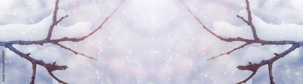 Tree branches covered in snow on a snowing day. Beautiful winter background. Panoramic banner.