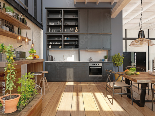 modern domestic kitchen interior. photo