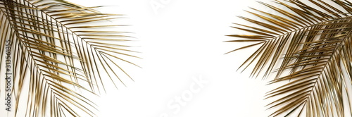 Gold palm leaves plant pattern frame isolated banner on a white background. top view. copy space. abstract.