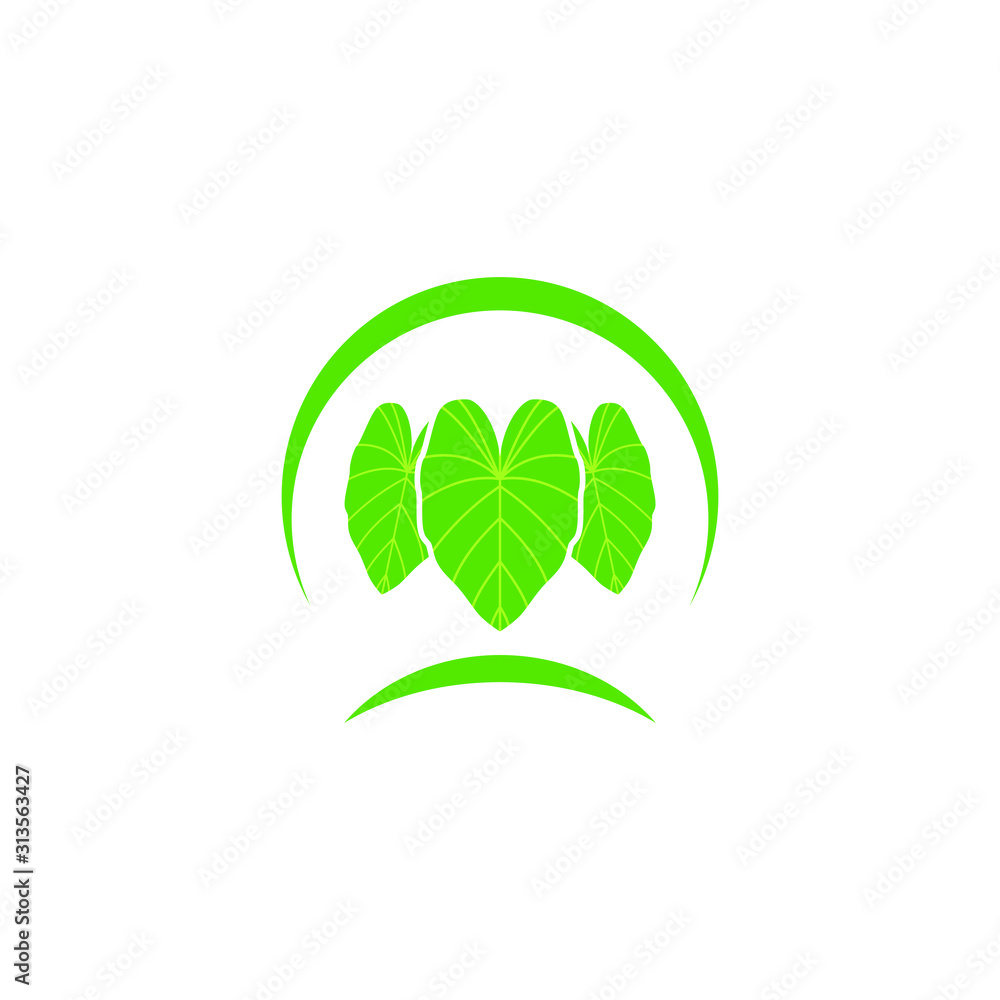vector logo nature tropical leaf green concept vector logo nature tropical leaf green concept