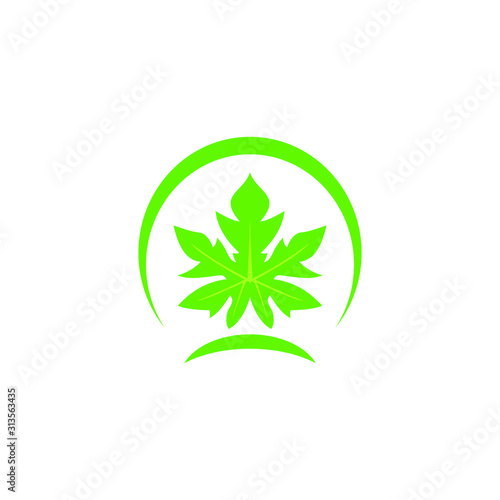 vector logo nature tropical leaf green concept