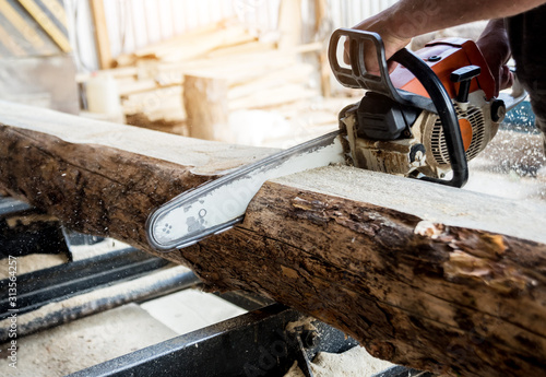 Wallpaper Mural Woodcutter cutting tree with chainsaw on sawmill. Modern sawmill. Industry sawing boards from logs. Torontodigital.ca